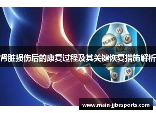 肾脏损伤后的康复过程及其关键恢复措施解析 肾脏损伤后的康复过程及其关键恢复措施解析