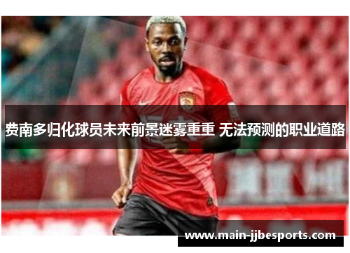 费南多归化球员未来前景迷雾重重 无法预测的职业道路